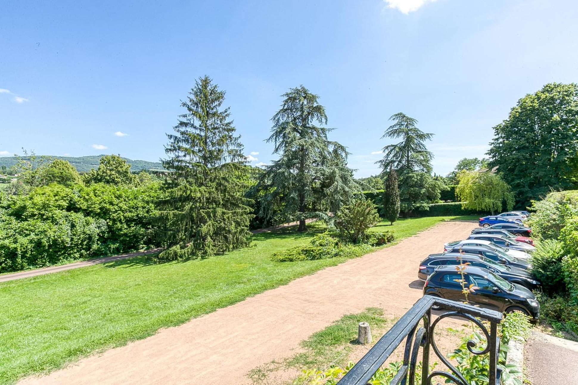 Sejourner Au Chateau De La Roue Grand Appartement Lissieu ภายนอก รูปภาพ